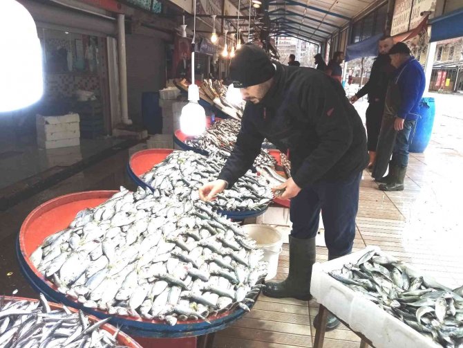 Kar Çinekop Getirdi