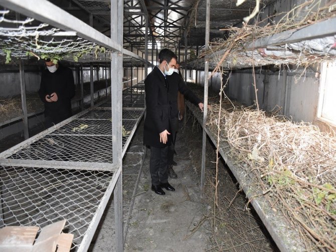 Batman’da İpek Böceği Yetiştiricilerine Dut Fidanı Desteği Verildi