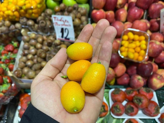 C Vitamini Deposu Kamkat Tezgahlarda