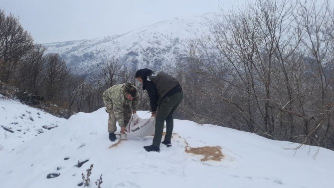 Tunceli’de Yaban Hayvanları İçin Doğaya Yem Bırakıldı
