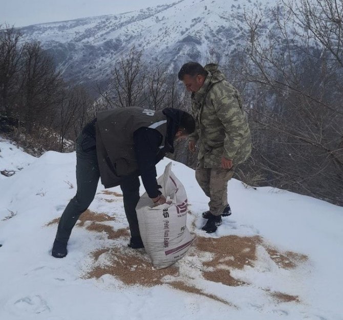 Tunceli’de Yaban Hayvanları İçin Doğaya Yem Bırakıldı