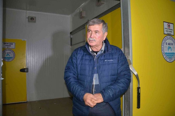 Yengeç Kabuğu Ve Balık Pulundan Jelatin Üretilecek