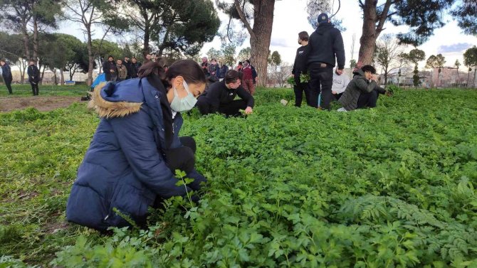 Derslerini Tarlada Yapıp Üstüne Para Kazanıyorlar