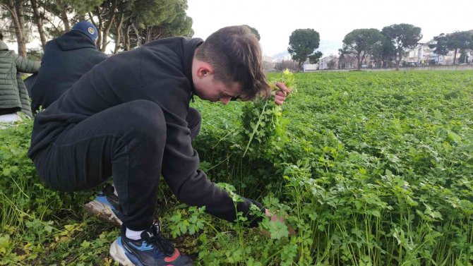 Derslerini Tarlada Yapıp Üstüne Para Kazanıyorlar