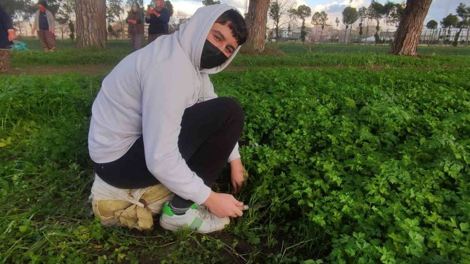 Derslerini Tarlada Yapıp Üstüne Para Kazanıyorlar