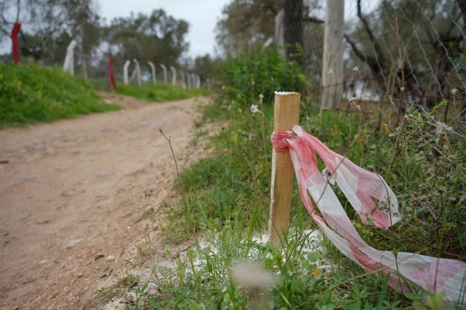Ayvalık Adım Adım Doğalgaza Kavuşuyor