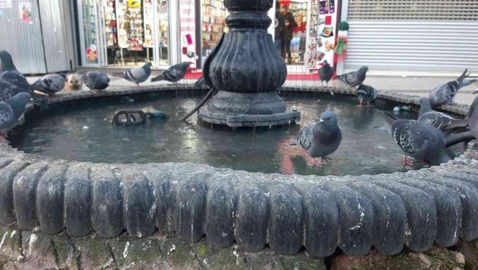 Edirne Buz Tuttu, Süs Havuzları Dondu
