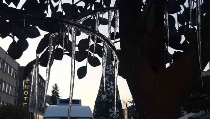 Edirne Buz Tuttu, Süs Havuzları Dondu