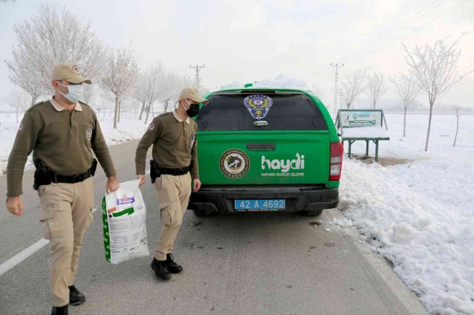 Konya’da Hayvanları Koruma Polisleri, Bin 45 İhbara Cevap Verdi