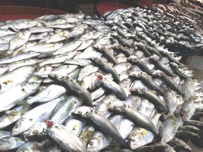 Kar Çinekop Getirdi