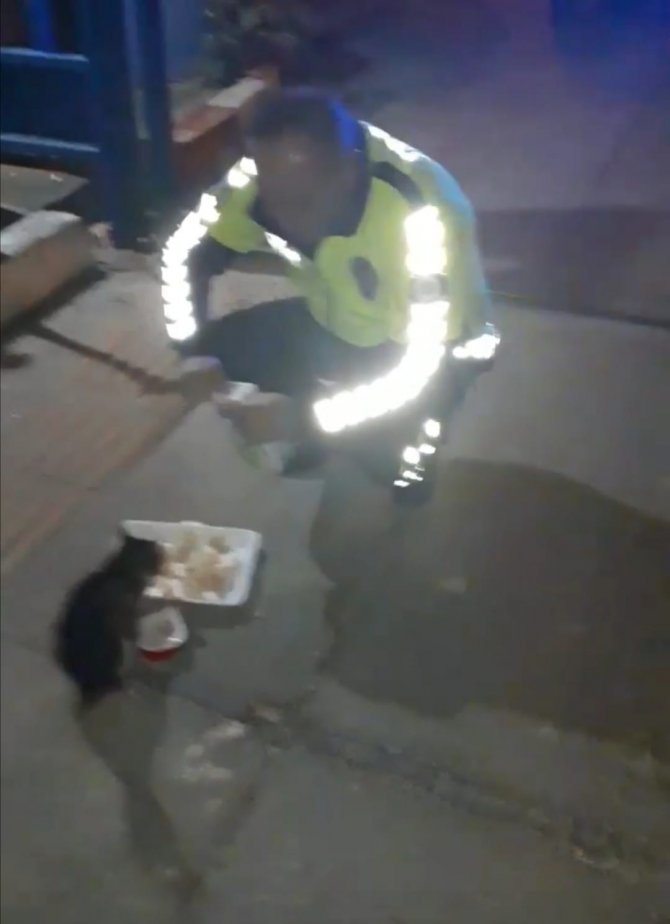 Trafik Polisi Sahipsiz Hayvanları Kendi Elleriyle Besliyor