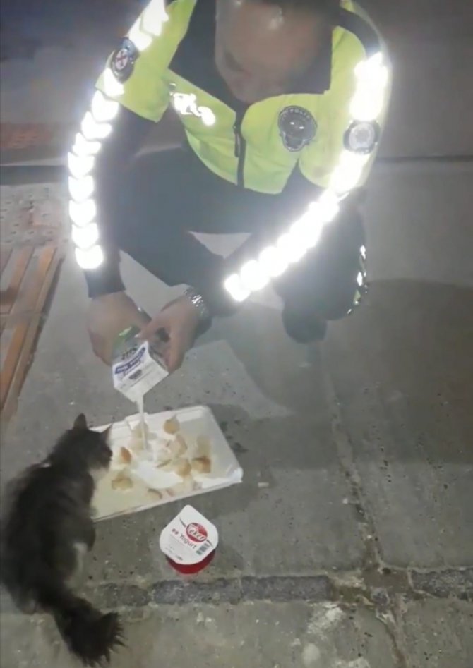 Trafik Polisi Sahipsiz Hayvanları Kendi Elleriyle Besliyor