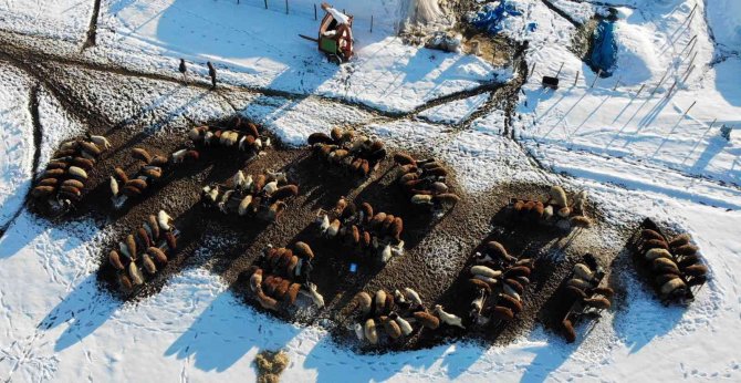 Muş’ta Bin 600 Rakımlı Dağ Köyleri Kara Gömüldü