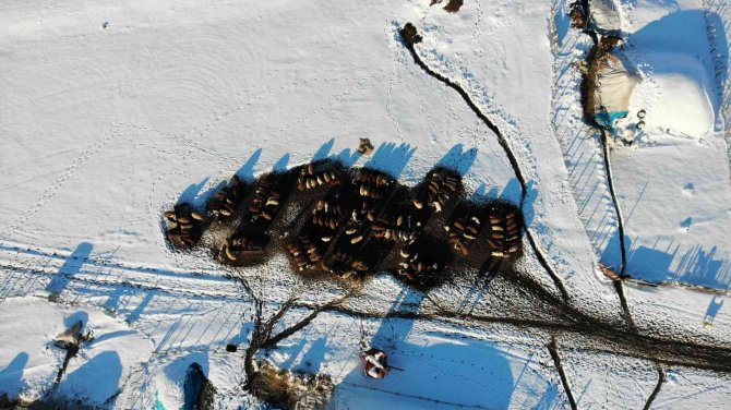 Muş’ta Bin 600 Rakımlı Dağ Köyleri Kara Gömüldü