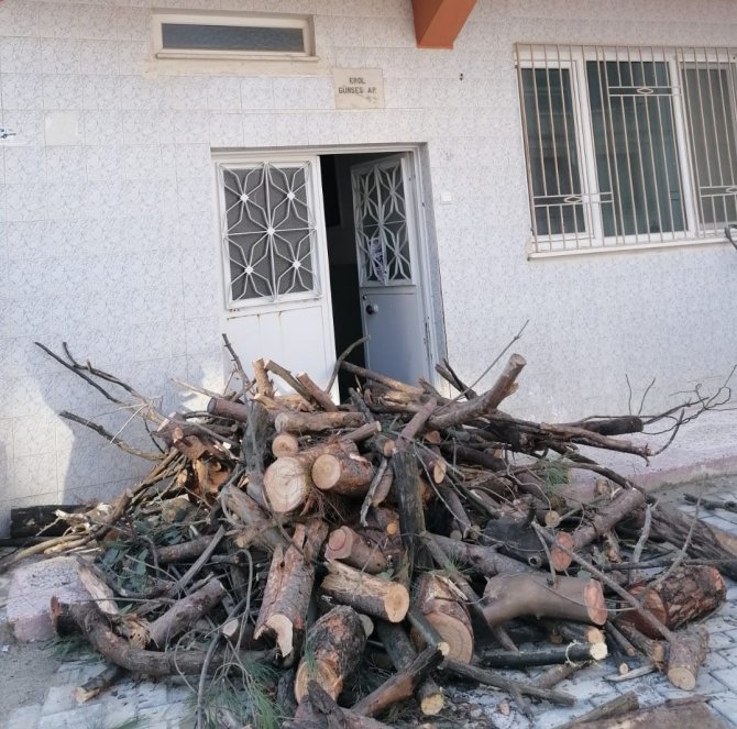Budanan Ağaç Dalları İhtiyaç Sahibi Ailelere Yakacak Oldu