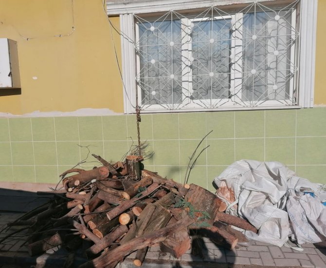 Budanan Ağaç Dalları İhtiyaç Sahibi Ailelere Yakacak Oldu