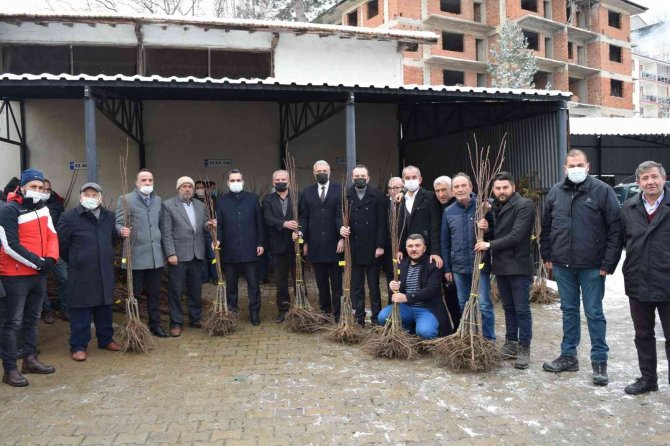 Kestane Üreticilerine 4 Bin Fidan