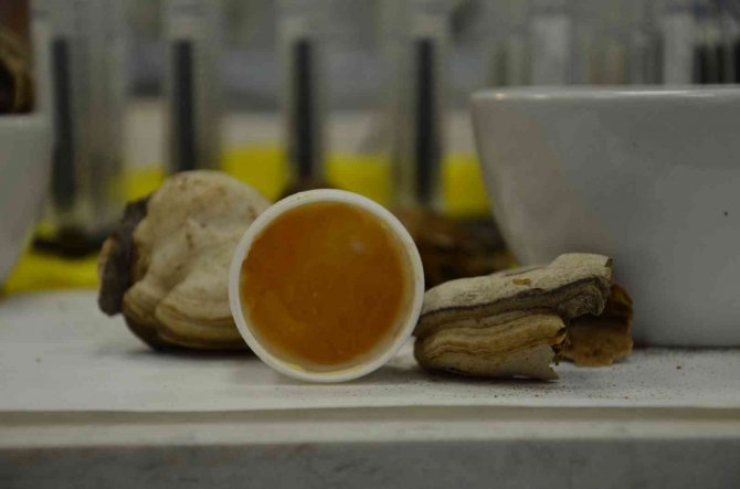 Kanamaları Erken Durduran Formül Bulundu