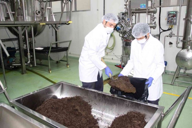 Muğla’da Kişi Başı Günlük Atık Miktarı 1,86 Kg