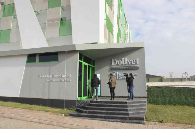 Yerli Korona Virüs Aşısı Türkovac Dünyaya Umut Olacak