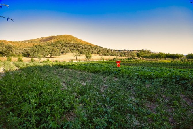 35 Yıllık Turizmci Meşealtı Otantik Kebap’ı Kışın Da Devreye Soktu
