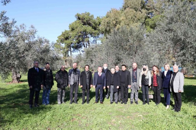 Başkan Böcek: “Zeytin Park’ı Korumak Boynumuzun Borcudur”