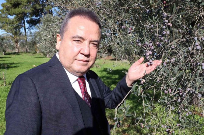 Başkan Böcek: “Zeytin Park’ı Korumak Boynumuzun Borcudur”
