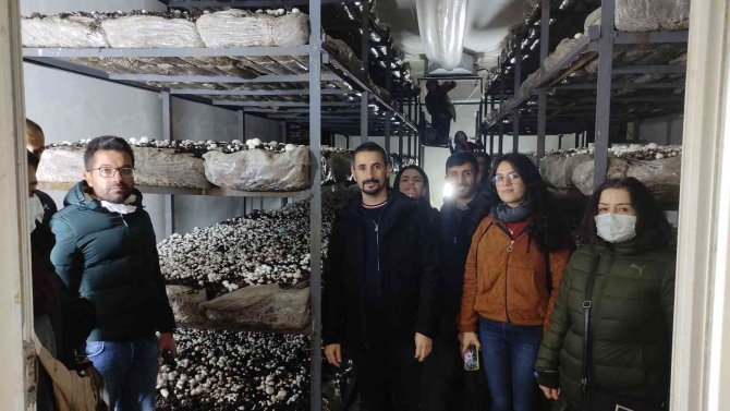 Üniversite Öğrencileri Mantar Üretimi Hakkında Bilgi Aldı
