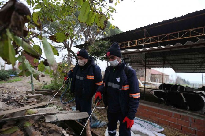 Efeler Belediyesi’nin Sağlık İşleri Ekipleri Yoğun Mesai Yapıyor