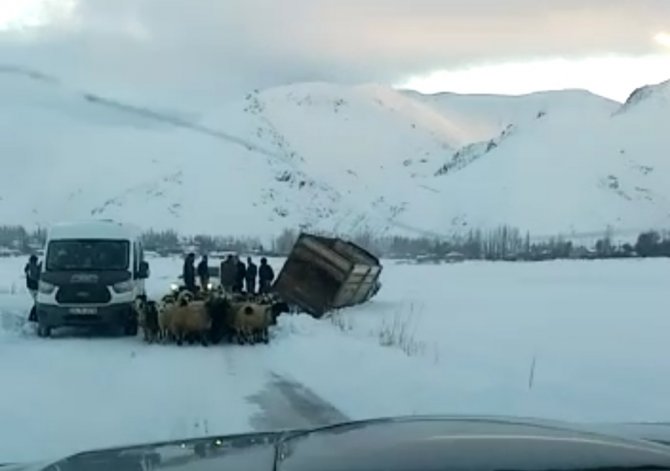 Yüksekova’da Kamyonet Kara Saplandı, 50 Koyunu Vatandaşlar Kurtardı