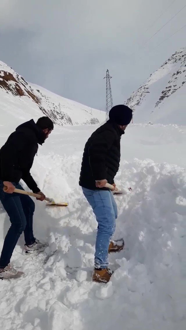 Yüksekova’da Çığ Düştü, Çok Sayıda Araç Ve Vatandaş Mahsur Kaldı