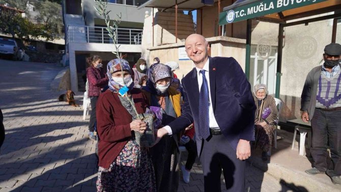 İ̇zmit’in Dönüştürülen Atıkları, Milas’ta Zeytin Fidanı Olarak Toprakla Buluştu