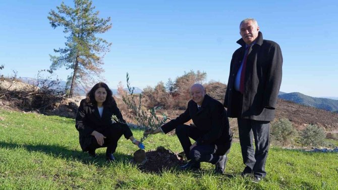 İ̇zmit’in Dönüştürülen Atıkları, Milas’ta Zeytin Fidanı Olarak Toprakla Buluştu