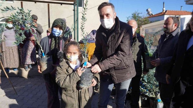 İ̇zmit’in Dönüştürülen Atıkları, Milas’ta Zeytin Fidanı Olarak Toprakla Buluştu