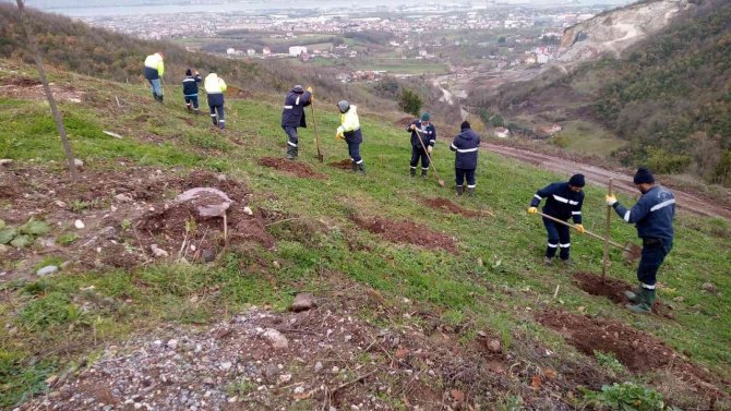 Büyükşehirden Gölcük Hisareyn’e Bal Ormanı
