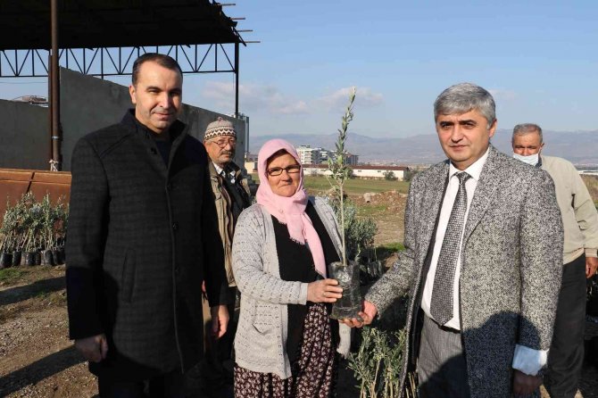 Manisa Büyükşehir Belediyesinden Üreticilere 100 Bin Fidan Desteği