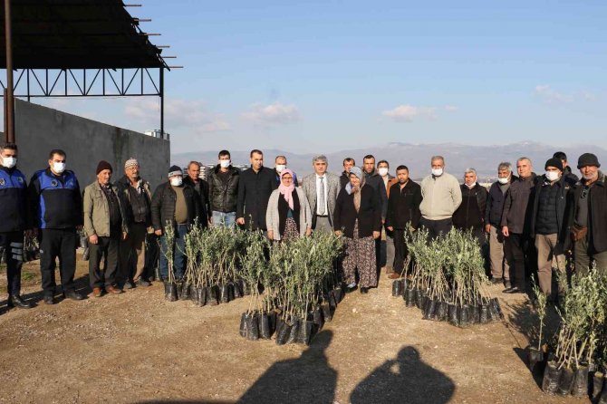 Manisa Büyükşehir Belediyesinden Üreticilere 100 Bin Fidan Desteği