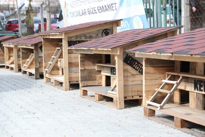 Pet Kafe Ve Mama Üretim Tesisi Türkiye’ye Örnek Oldu