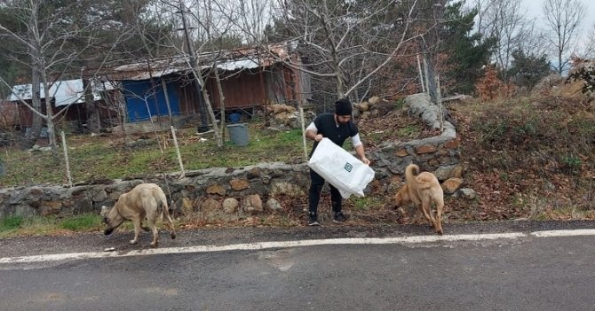 Osmaniye’de Sokak Ve Yaban Hayvanlarına Mama Ve Yem Desteği