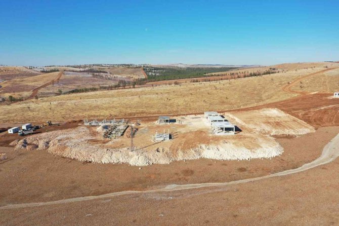 Şanlıurfa’da Sokak Hayvanları İçin Rehabilitasyon Merkezi Kuruluyor