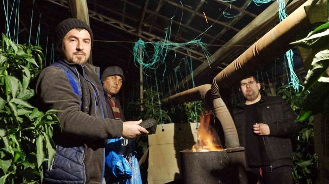 Antalya’daki Çiftçilerin Çaylı Kestaneli ‘Soğuk Nöbeti’ Başladı