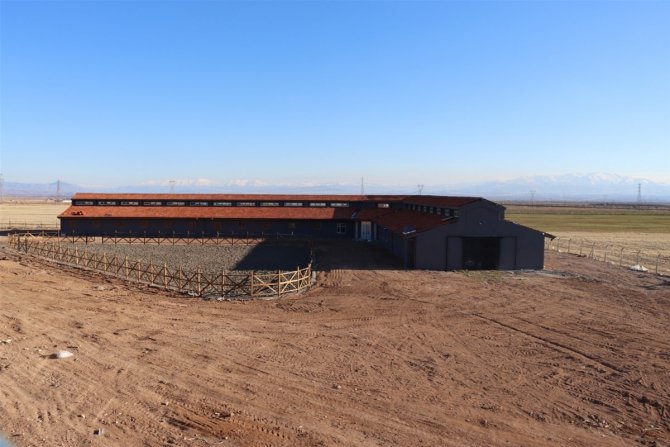 Yazıhan’da Atlı Cirit Sahası Tamamlandı