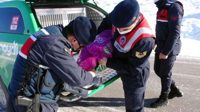Yozgat’ta Jandarma Ekipleri Doğaya Yem Bıraktı