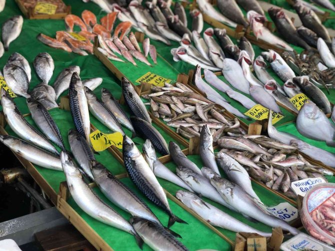 Kar Yağdı, Balık Fiyatlarının Düşmesi Bekleniyor