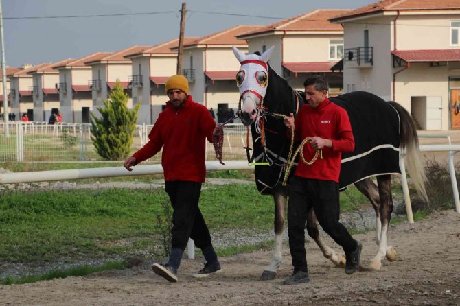 Seyisler Greve Gitti, Yarışlar 2 Buçuk Saat Ertelendi