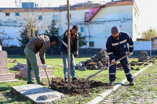 Süryani Kadim Mezarlığı Ağaçlandırıldı