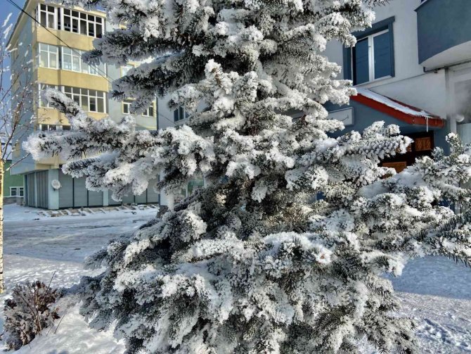 Ağrı’da Termometreler Eksi 28 Dereceyi Gösterdi