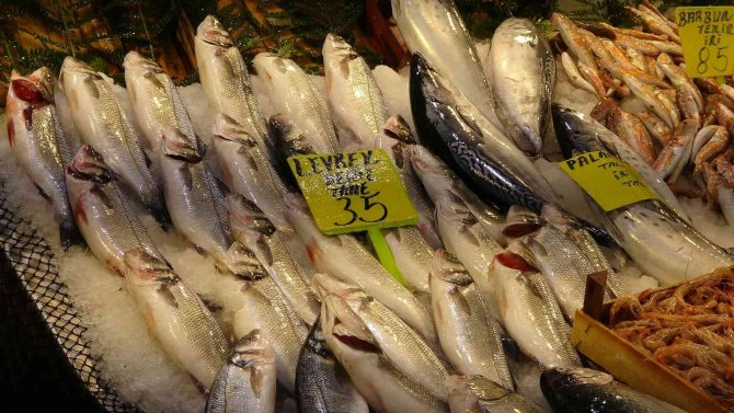 Kar Yağdı, Fiyatı 65 Liraya Geriledi