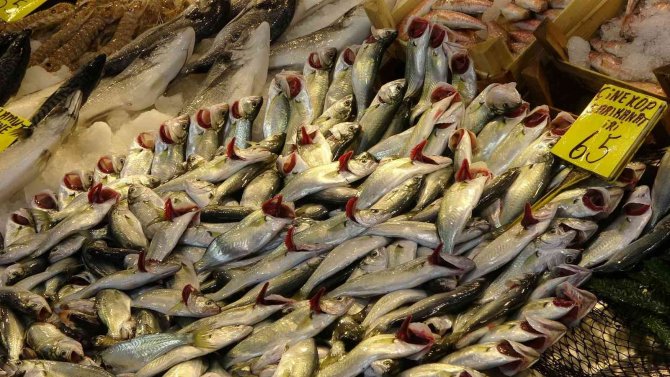 Kar Yağdı, Fiyatı 65 Liraya Geriledi