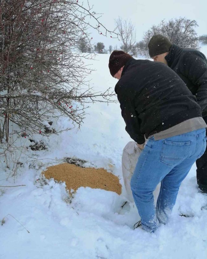 Karabük’te Yaban Hayvanları İçin Yemleme Çalışması Yapıldı